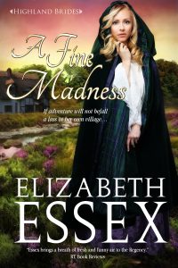 A Fine Madness Elizabeth Essex