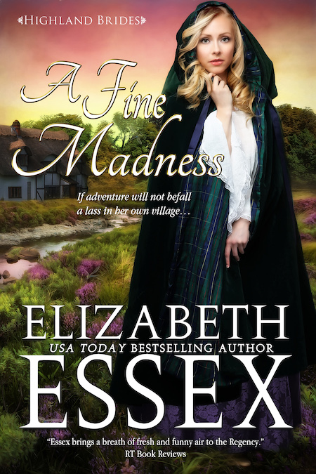 A Fine Madness Elizabeth Essex